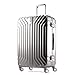 Samsonite Tru-Frame Hardside Spinner 29-Inches, Matte Silver