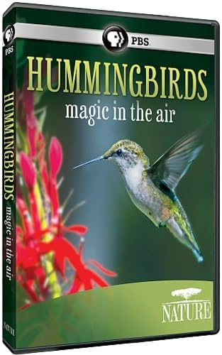 Amazon.com: NATURE: The Hummingbird Effect : n/a, Coneflower