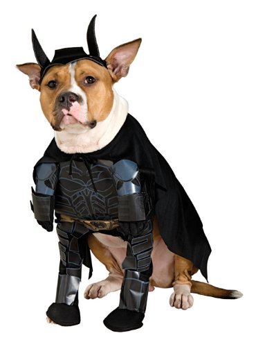 Batman Dark Knight Pet Costume, Large