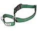 GOGO Pet Products 1-Inch Martingale Dog Collar, Large, Hunter Green