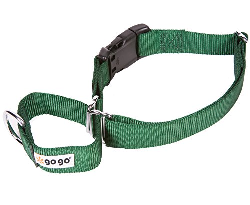 GoGo Pet Products GoGo 3/4-Inch Martingale Dog Collar, Medium, Hunter Green