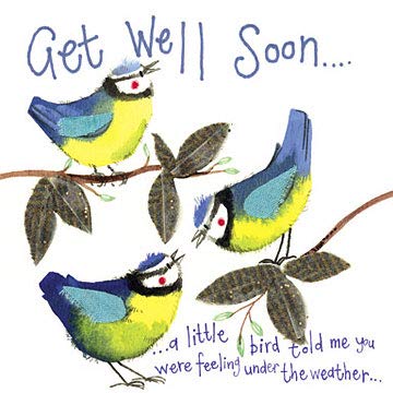 Alex Clark Under the Weather Get Well Soon Bird Card - Blue Tit - Nature - Animal - Sympathy Card - Designed and Printed in the UK…