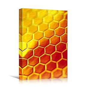 signwin Canvas Wall Art Honeycomb Pattern Abstract Colorful...