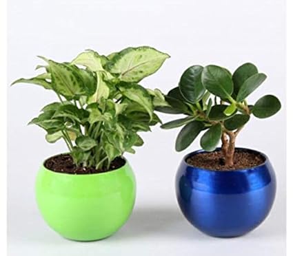 Siddhi Vinayak Gallery Metal Planter Pot for Home Decoration | Round Shape Metal Pots for Indoor Plant Living Room Bedroom, Tabletop, Office Desk Decoration ( Mix Colour Pack of 2 Metal Pot)