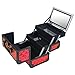 SHANY Chic Makeup Train Case Cosmetic Box Portable Makeup Case Cosmetics Beauty Organizer Jewelry storage with Locks, Multi trays Makeup Storage Box with Makeup Mirror - Ruby Red