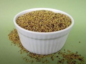 Yellow Clover Certified Organic Non-GMO Sprouting Seeds 1 Pound (Price includes shipping)