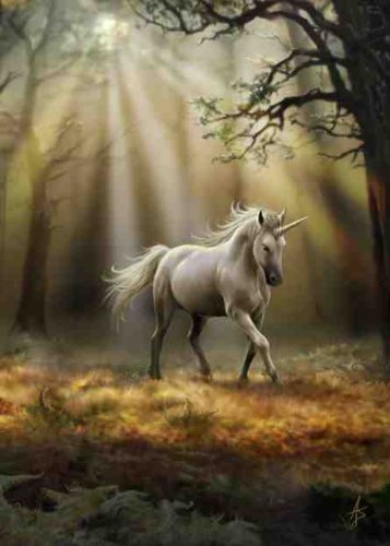 Glimpse Of A Unicorn - Anne Stokes Greetings - Blank