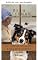 Livro Uma cura amish & A história de Ollie