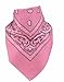 Funny Party Hats Cowboy Hat for Adults - Felt Cowboy Hats w/Paisley Bandana