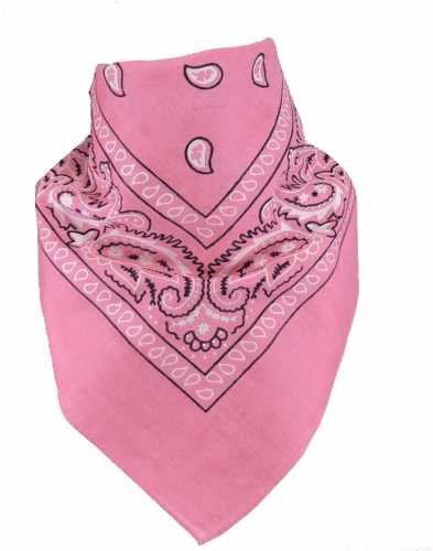 Quality Child Cowboy Costume Hat WithFREE Cotton Paisley Bandanna - Funny Party Hats TM (Pink Star Cowgirl Hat with Pink Paisley Bandana)