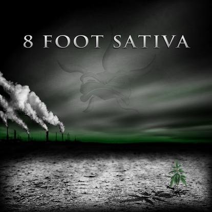 8 Foot Sativa - The Shadow Masters - Zortam Music