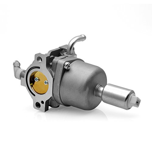 Radracing 591736 Carburetor Carb Kit Compatible 594599 794136 591736 796184 698787 699900 699521 792369 790032