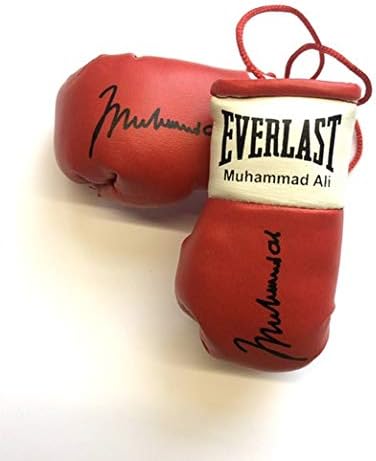everlast mini boxing gloves