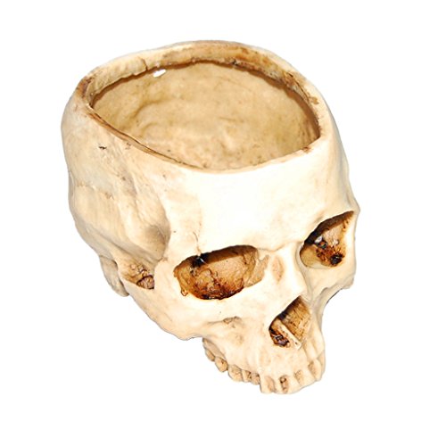 image for Homyl Resin Skull Head Design Flower Pot Planter Container Replica Ske