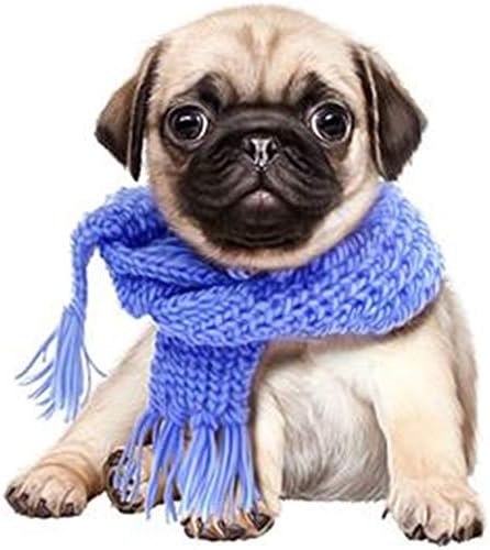 5D DIY Full Diamond Portray Rhinestone feilin Canine Footage of Crystals Embroidery Kits Arts, Crafts & Stitching Cross Sew for House Decor Diamond Portray by Quantity Kits 30x30cm