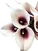 Angel Isabella 10pc Set of Real Touch Calla Lily-Keepsake Artificial Calla Lily with Small Bloom Perfect for Making Bouquet, Boutonniere,Corsage.Quality Keepsake Artificial Flower (Picasso Wine)