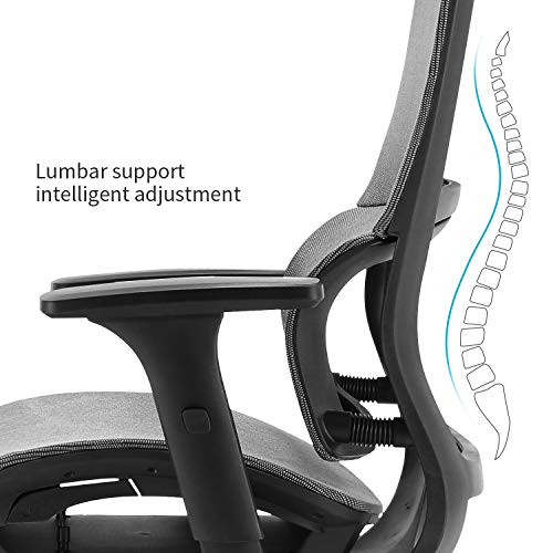 XUER Ergonomic Office Chair Home Office Desk Chair with Adaptive