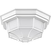Nuvo 18.5W LED Outdoor Spider Cage Flush Mount-5.06 Inches Tall and 10.56 Inches Wide-White Finish