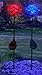 Lovely Brilliant Solar Rose Lights Rose Flowers Garden Stakes (Set of 2) with Exquisite Design