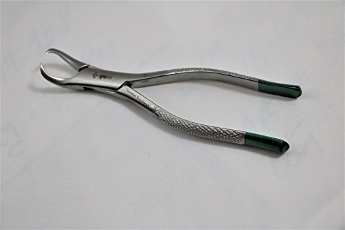 Premium German Dental Tooth Extracting Forceps No 23 Cow Horn Lower Molar Dental Instruments