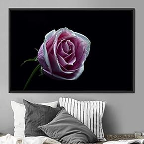 signwin Framed Canvas Wall Art Rose Bohemian Dark...