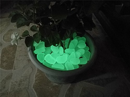 Lanker 100Pcs Glow in the Dark Stones Decorative Pebbles for Walkway Garden Yard Fish Tank Outdoor and Indoor Decor (Green)