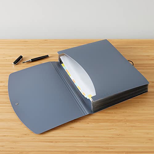 Amazon Basics Expanding Organizer File Folder, Letter Size Black