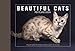 Beautiful Cats Postcard Book (Beautiful Animals)
