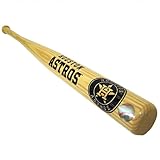 Houston Astros Official MLB 18 inch Mini Wood Baseball Bat