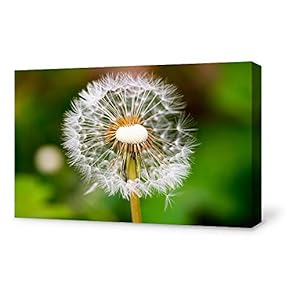 Canvas Wall Art for Living Room,Bedroom Home Artwork Paintings Dandelion Ready to Hang - 12x18 inches