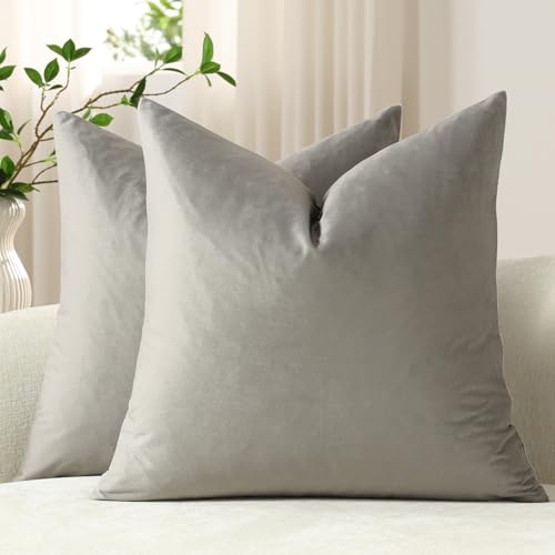 DEZENE Throw Pillow Covers 16x16 Light-Grey: Pack of 2 Cozy Soft Velvet Square Modern Luxury Decorative Throw Pillow Cases for Sofa Couch Living Room Bed Home Decor at Amazon