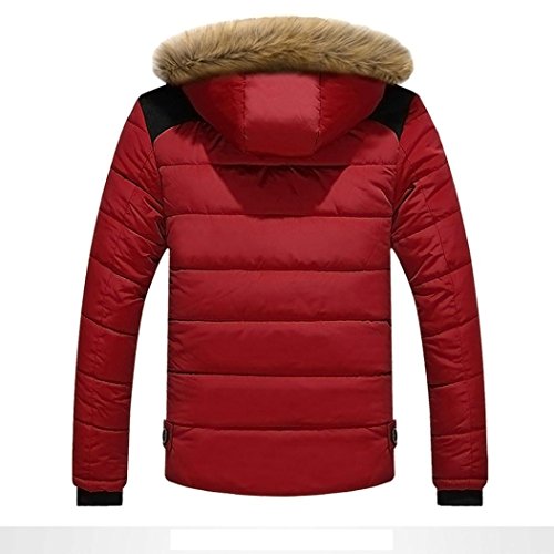 Han Shi Hooded Coat, Fashion Men Warm Winter Casual Padded Cotton Thick Jacket Outwear (L, Red)