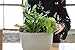 WallyGro Eco Vertical Garden Wall Planter 4 Pack Stonethumb 2