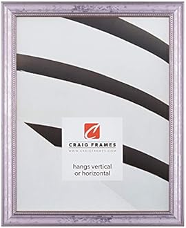 Craig Frames 314SI, Ornate Silver Picture Frame, 11 x 17 Inch