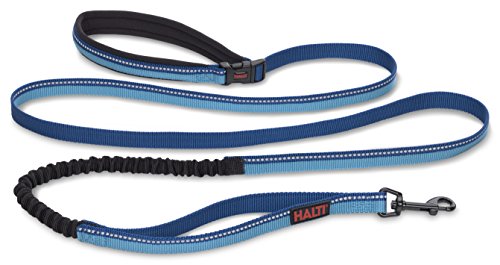 HALTI Active Leash - Award-Winning Bungee Dog Leash, Shock-Absorbing, All-in-One Neoprene Padded Belt & Lead, Perfect for Running & Training with Medium & Large Dogs (Size Large, Blue)
