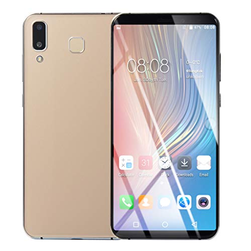 6.1 Inch Ultrathin Android 6.0 Quad-Core 1GB+8GB+Extra 16GB Card GSM WiFi Dual SIM 8.0MP Smart Cellphone (Gold)