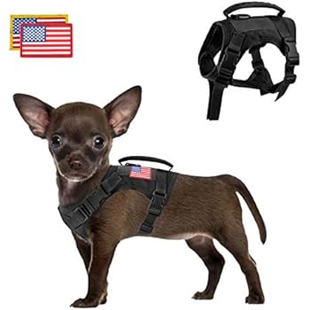 Tactical Service Dog Vest Harness Outdoor Training Handle Water-Resistant Comfortable Military Patrol K9 Dog Harness with Handle (XS, Black)