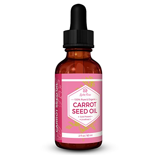 #1 TRUSTED Carrot Seed Oil by Leven Rose - 100% Organic Natural Cold Pressed & Unrefined - 2 oz for Skin, Hair, Body & Lip Treatment (2 oz)