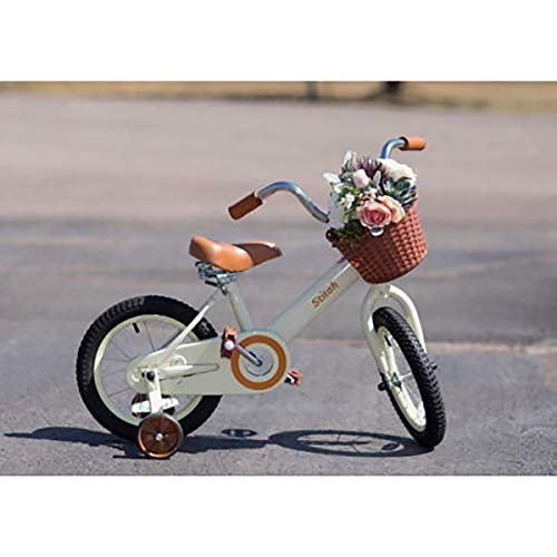 5 JOYSTAR+Vintage+Bicycle+Basket+Training