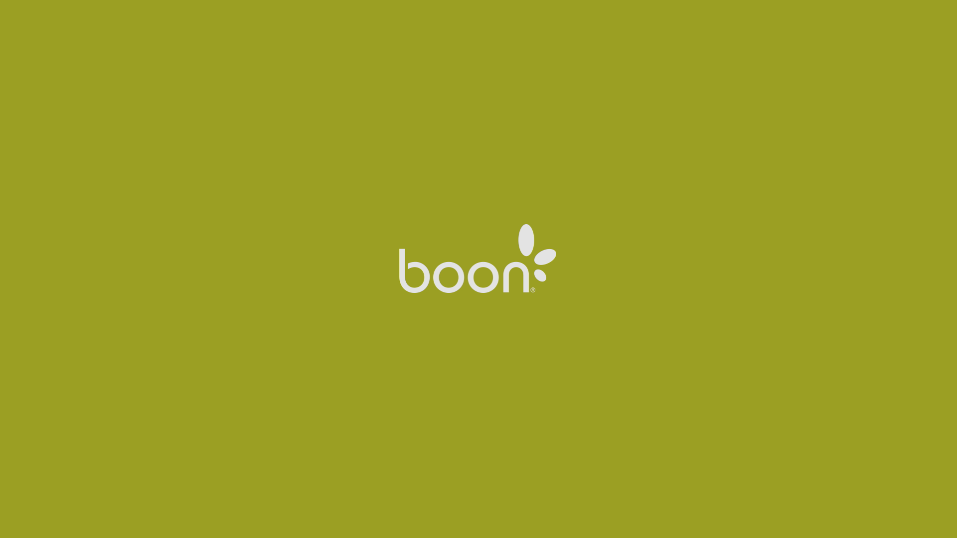 Boon Lawn Countertop Drying Rack Green Ncrbazar