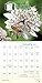 Bee Happy 2017 Wall Calendar: The Buzz on the Busy Life of Bees