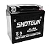 Shotgun Replaces YTX5L-BS for Polaris Predator Outlaw Sportsman 50 80 90 GTX5L-BS ATV Battery primary