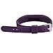 Usitek Fitbit Flex 2 Accessory Bands for Fitbit Flex 2 / Fitbit Flex2,Silicone Fitness Replacement Accessories Wrist Band for 2016 New Fitbit Flex 2 with Steel Buckle,Pack of 3.