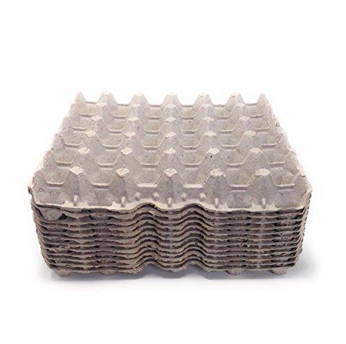 Egg flats for small to extra-large chicken eggs (30 egg…