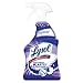 LYSOL 78915EA Mold & Mildew Blaster with Bleach, Ready to Use, 32oz Spray Bottle