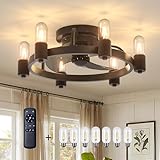 Amico Ceiling Fans with Lights, Low Profile Ceiling