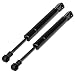 Maxpow 2pcs Compatible With Volkswagen Beetle Convertible Only 2003 2004 2005 2006 2007 2008 2009 2010 Rear Trunk Lid Lift Supports Struts SG401031 8196134