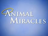 Animal Miracles