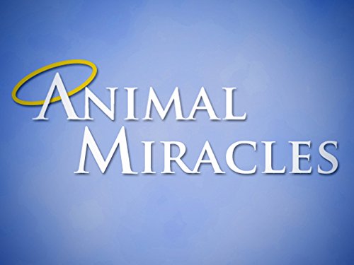 Animal Miracles