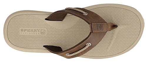 sperry men's pensacola thong sandals